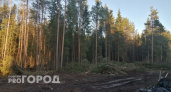 В трех районах Калужской области ввели особый противопожарный режим