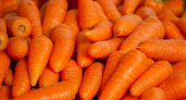 Морковь сразу пойдёт в рост: в начале июля полейте грядку этим раствором — богатейший урожай