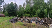 Загрязнитель леса поплатится за свалку в Калужской области