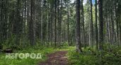 Тепло и сухо: синоптики рассказали о погоде в Калужской области на 4 сентября 