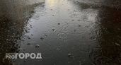 11 сентября в Калужской области ожидается дождь