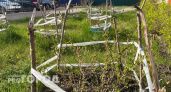 Коммунальщики Калуги подвели итоги масштабного благоустройства