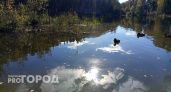 В Калужской области температура воздуха упадет до +1 градуса 